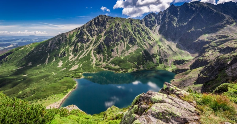 برنامج بولندا وشرق أوروبا