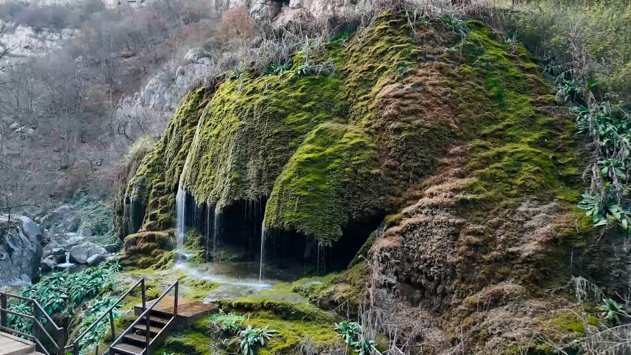 عروض سياحية شاملة التذاكر
